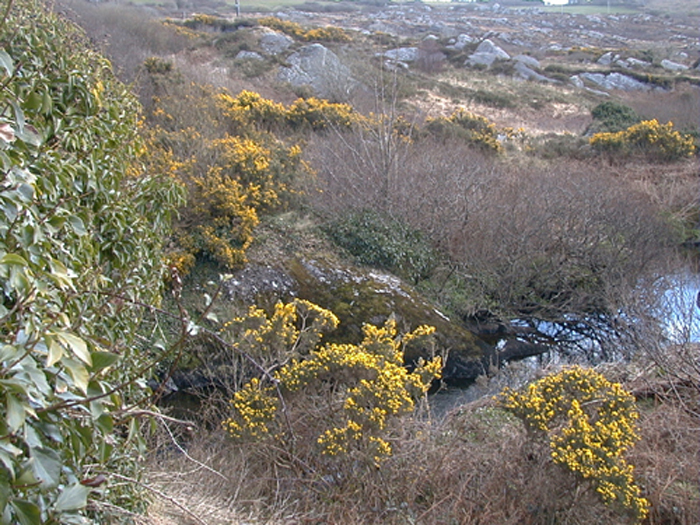 View from Crooked Bridge 2.jpg 401.5K